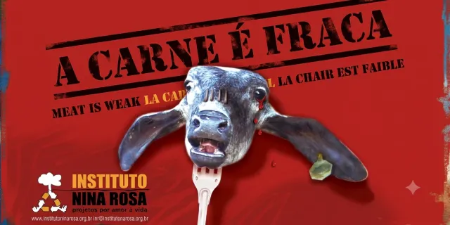 Capa do documentário A Carne é Fraca